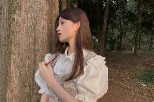 网红偷逃税频现工作室为何成了“金蝉壳”？